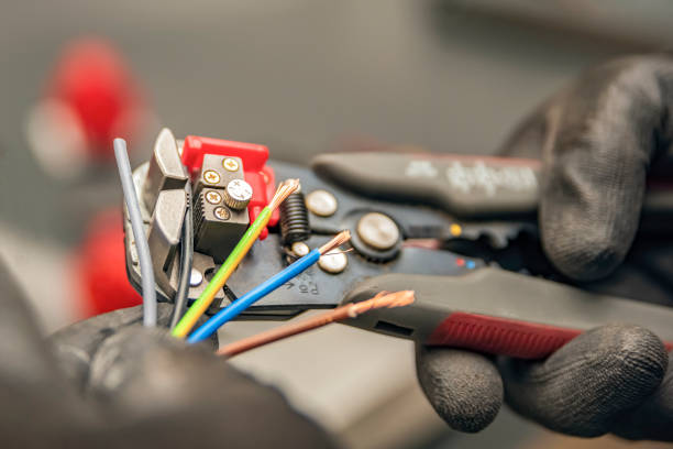 Best Ceiling Fan Installation Electrician  in Adrian, MN