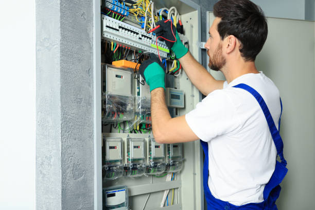 Best Ceiling Fan Installation Electrician  in Adrian, MN