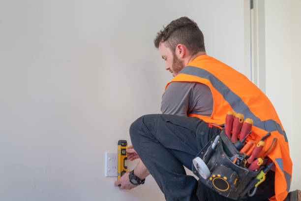 Best Electric Panel Repair  in Adrian, MN